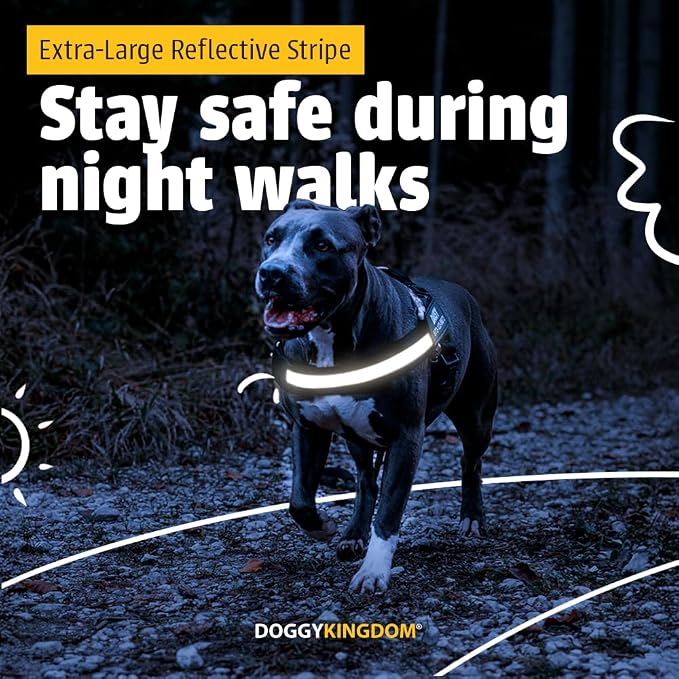 Personalized Dog Harness with Custom Name Patches, Adjustable Reflective No Choke Dog Vest with Handle for Large Dogs, Rose Red, L