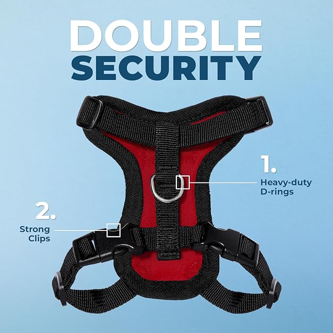 Voyager Step-in Lock Adjustable Cat Harness w. Cat Leash Combo Set with Neoprene Handle 5ft - Supports Small, Medium and Large Breed Cats by Best Pet Supplies - Red/Black Trim, XXS
