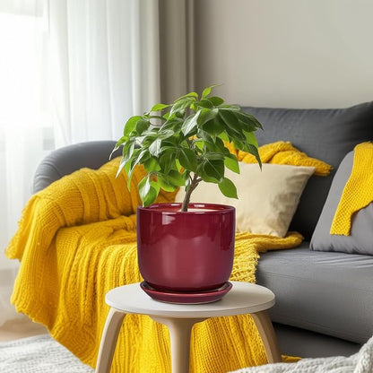 Ceramic Flower Pot for Plants - Cylinder Modern 8 Inch Plant Pot Indoor with Drainage Hole and Saucer, Home Office Room Porch Decor, Red