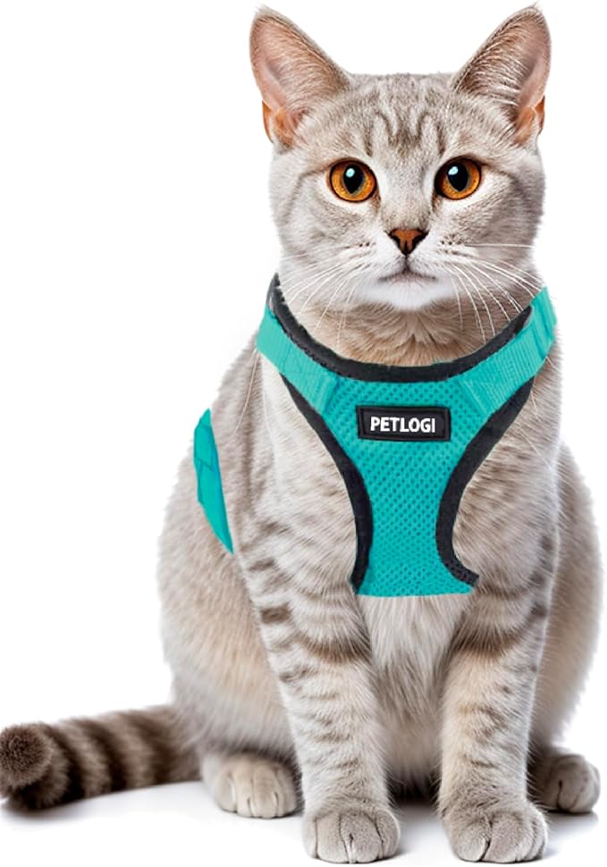 Cat Harness Escape Proof with Leash for Walking, Travel Vest Soft Chest Support, Adjustable Size, Escape Proof Soft Adjustable Vest Harnesses, Breathable, Kittens, Small Dogs (美/背縄/緑1/XS)