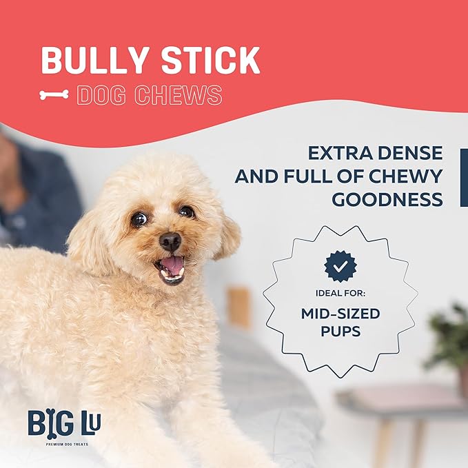Big Lu - 6” Jumbo Bully Sticks, 10 Count, 100% Grass-Fed Beef Chews, Fully Digestible, Long-Lasting Treats for Aggressive Chewers, Natural Single-Ingredient Chews for Medium & Large Dogs