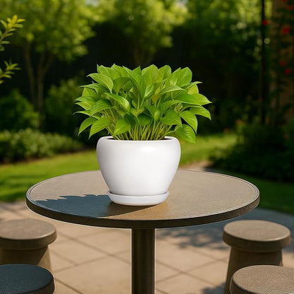Deep Dream 6 Inch Plant Pot - Ceramic Planter with Drainage Hole and Trays, Modern Round Flower Pot, Planters for Indoor Outdoor Plants, Home Garden Decor, White