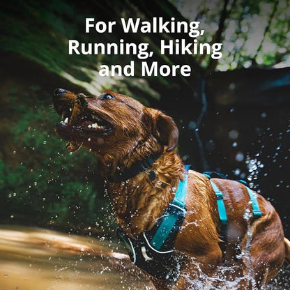 Ruffwear, Flagline Dog Harness, Lightweight and Reflective, No Pull Dog Lift Harness for Hiking, Running and Everyday Use, Alpenglow Pink, Small