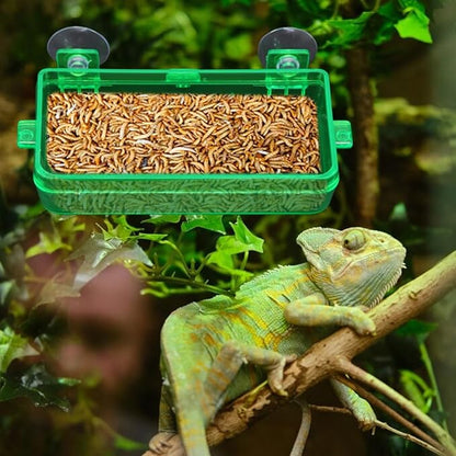Reptile Feeder Chameleon Bowl 2 Pcs Anti-Escape Food Dish Bowl with Suction Cup for Chameleon Iguana Lizard Reptile Food and Water Feeding (Green, M)