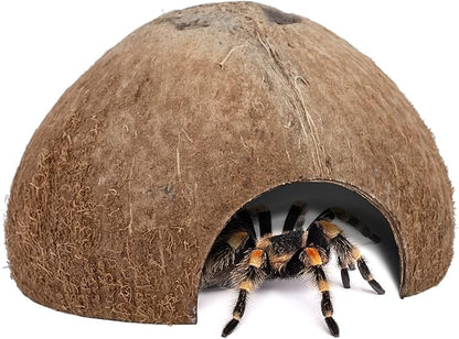 2 Pack Natural Coconut Reptile Hideouts, Lizard, Spider and Aquarium Fish Hide Cave (Natural Surface)