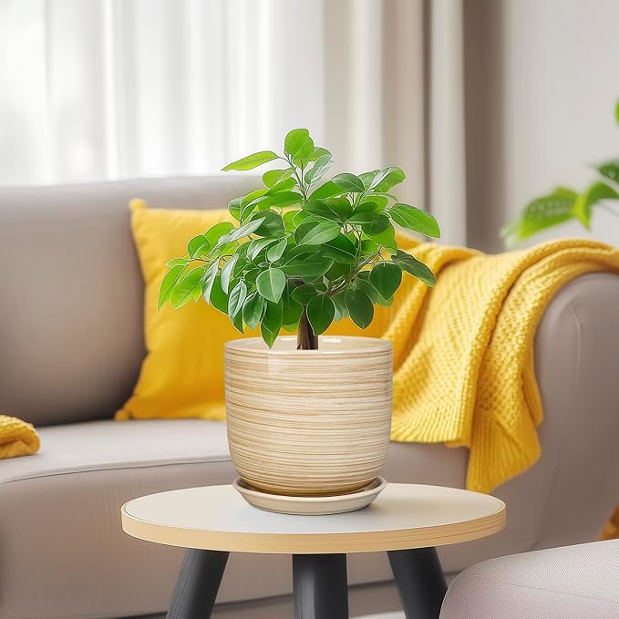 Ceramic Plant Pot 5 Inch - Modern Round Succulent Planter for Indoor Plants with Drainage Hole and Saucer, Office Home Room House Decor, Yellow