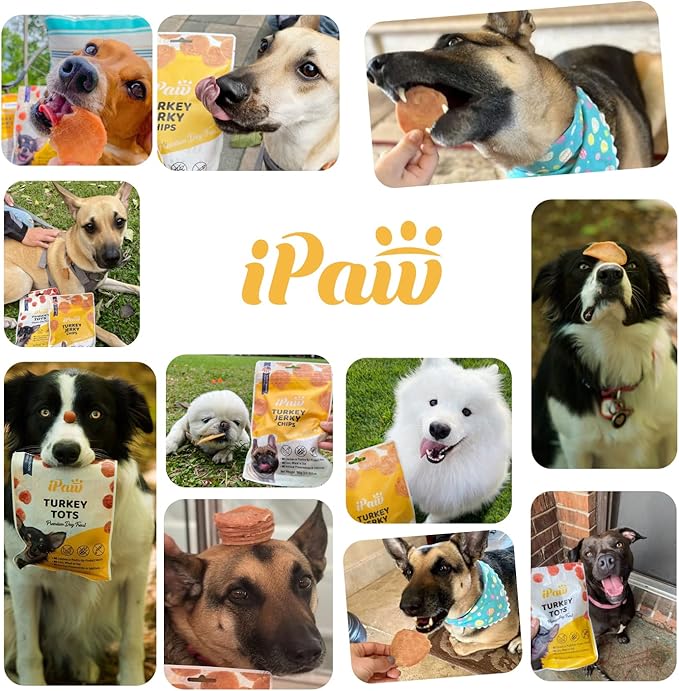 iPaw Turkey Tots Dog Treats for Puppy Training, All Natural Human Grade Dog Treat, US Sourced Raw Material, Hypoallergenic, Easy to Digest (Turkey Tots)