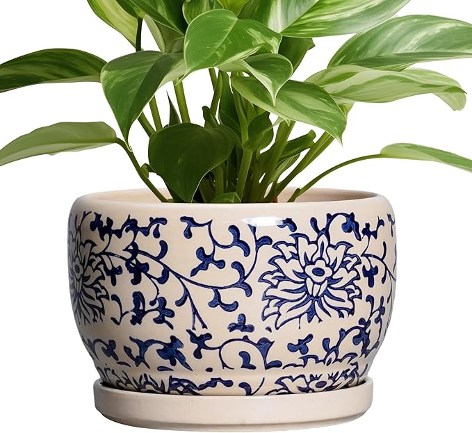 SQOWL Ceramic Planters for Indoor Plants - 8 inch Plant Pot with Drainage Hole and Saucer, Decorative Flower Pot Outdoor, Porcelain Round Planter, Living Room Decor, Gardening Gifts, Blue and Beige