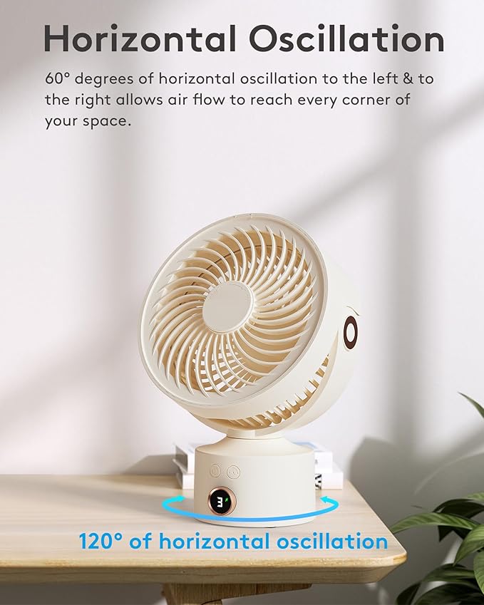 CARONSORT Desk Fan, Small Oscillating Fan