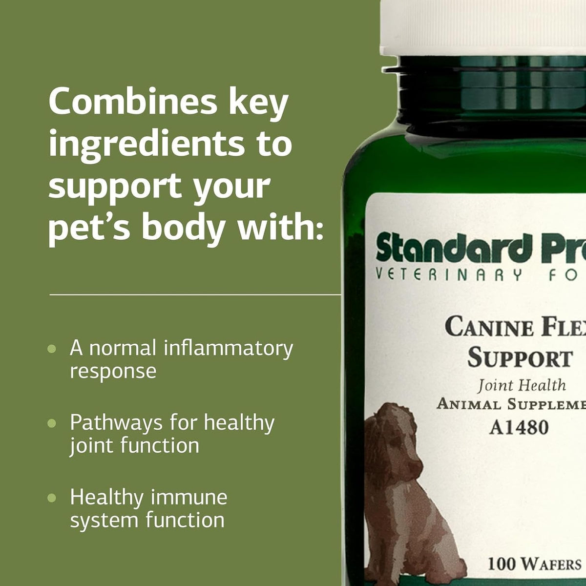 Standard Process Inc. Canine Flex Support - Joint & Immune Health Supplement for Dogs - Chewable Wafers for Healthy Joint Function Support - Nutritional Whole-Food Based Supplement - 100 wafers