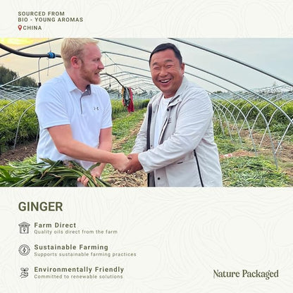 Ginger Essential Oil