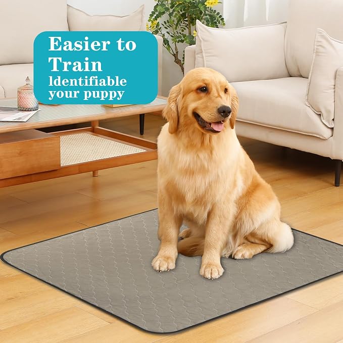 Bunlitent Washable Pee Pads for Dogs 36" x 41", 5 Pack, Reusable Puppy Pads | Reusable, Quick Dry, Anti-Slip, Waterproof, Whelping Pad for Pet, Playpen, Incontinence, Housebreaking, Training, Brown