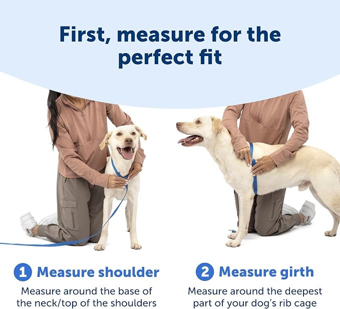PetSafe Easy Walk Comfort No Pull Dog Harness, Green, Medium | Stops Pulling on First Use with Front Martingale Loop, Full-Body Padding, 5-Point Adjustable Fit