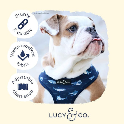 Lucy & Co. Reversible Dog Harness - Water-Repellent Neoprene, Dual-Print Design, Easy Swap Style, Adjustable Comfort Fit - Shark Attack Reversible Harness - Medium