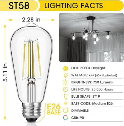 Vintage LED Edison Bulbs, 6W, Equivalent 60W, High Brightness Daylight 5000K, ST58 Antique LED Filament Bulbs with 90+ CRI, E26 Medium Base, Dimmable, Clear Glass, Pack of 6