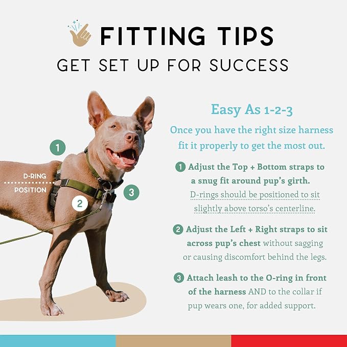 No Pull Dog Harness | Comfortable Training Harnesses | Effective No Pull Harness Design | Ideal for Large Sized Dog | 4-Point Adjustable(L - 26~32 inch Girth, Olive)