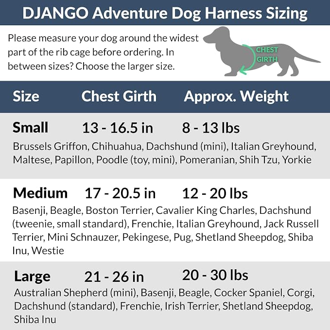Adventure Dog Harness - Stylish and Durable Small Dog Harness for Outdoor Adventures and Everyday Wear - Forest Green Neoprene Adjustable Harness for Dogs with Reflective Piping & Brass D-Ring