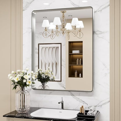LOAAO 24X30 Inch Brushed Nickel Bathroom Mirror, Rounded Rectangle Silver Metal