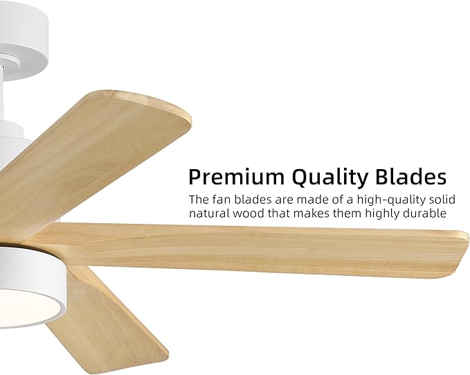 WINGBO 48 Inch DC Ceiling Fan