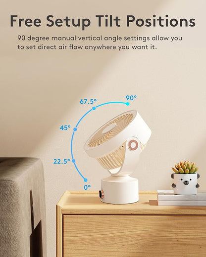 CARONSORT Desk Fan, Small Oscillating Fan