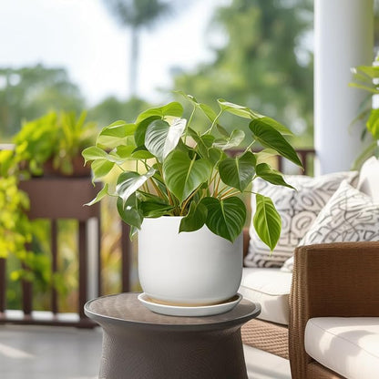 Ceramic Plant Pot - Modern 8 Inch Round Planter for Indoor Outdoor Plants with Drainage Hole and Saucer, Home House Room Office Decor, White