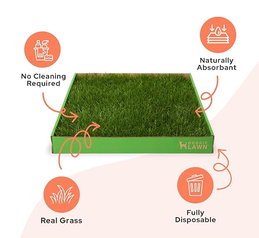 DoggieLawn Real Grass Dog Pee Pads with Tray - Mini Dog Potty Pad 24x9 | No-cleaning, odor-reducing puppy potty training pad for housebreaking, indoor or outdoor use, real grass, replace when needed