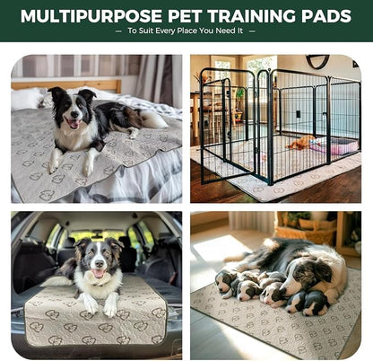 FXW Washable Pee Pads for Dogs, Super Absorbent, 35" Hexagon, 2 Packs | Machine washable, Non-slip backing, Fits 32"/40"/45"H 6-Panel FXW Rollick/Homeplus Playpens