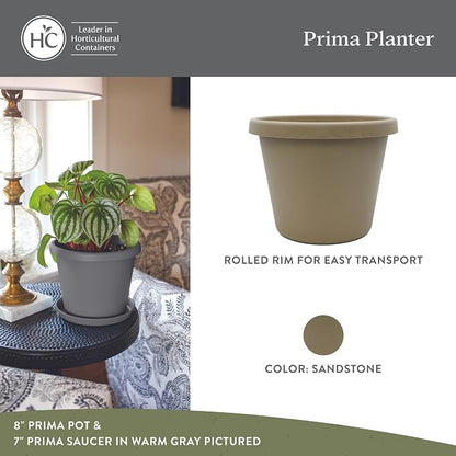 The HC Companies Prima Round Plastic Plant Pot w/Rolled Rim - Lightweight & UV Resistant Flower Pot for Herbs & More - Outdoor & Indoor Plant Pots w/Drainage (8 inch, Sandstone, Pack of 1)