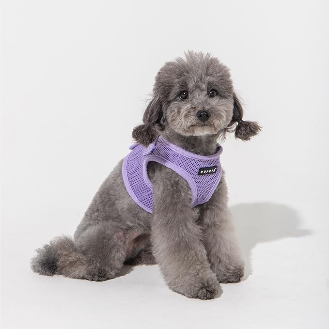 Puppia Soft Vest Dog Harness Step-in Padded Mesh No Choke No Pull Comfortable Walking Running Training for Small Medium Large Dogs, Violet, X-Large