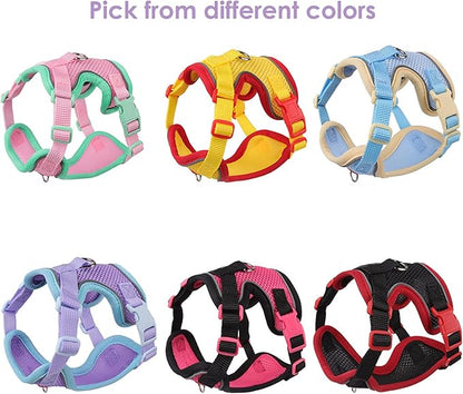 Cat Harness and Leash Set for Walking – Escape-Proof Reflective Vest for Cats and Small Dogs, Adjustable Soft Air Mesh with Pressure-Reducing Design, 4.92ft (Blue & Purple, XL)