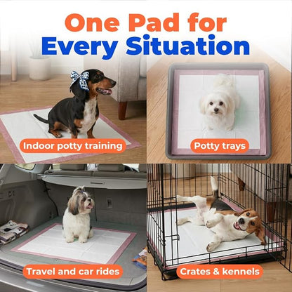 Best Pet Supplies Puppy Pads (22.5 x 22 Inches) - Disposable, Dog Training Potty, Super Absorbent Baby Pink Puppy Pee Pads for Dogs (300 Count)