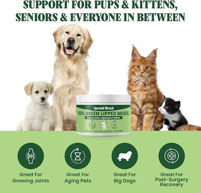 Green Lipped Mussel Powder for Dogs & Cats - 100% New Zealand Green Lipped Mussels - Natural Hip & Joint Supplement for Joints, Tendons, Ligaments, Muscles - 50 Grams - Up to 166 Servings