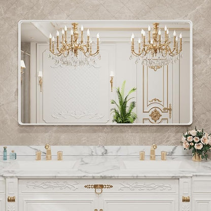 LOAAO 60x28 Inch White Metal Framed Bathroom Mirror