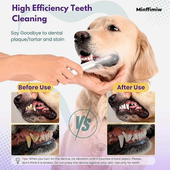 Dog Plaque and Tartar Remover