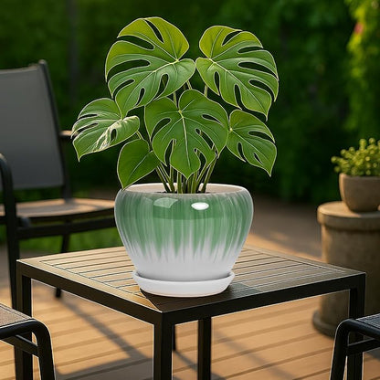 Deep Dream 8 Inch Plant Pots- Ceramic Pots for Plants with Drainage Hole and Saucer, Large Planter Pot for Indoor Plants Outdoor Decor, White&Green