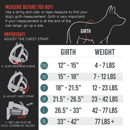 EzyDog Quick Fit Dog Harness, Soft Neoprene Padding - Small, Black | Fast One-Click Buckle, Adjustable Fit, Strong Reinforced Materials, Reflective Stitching, No Pull Dog Harness, Easy Walking