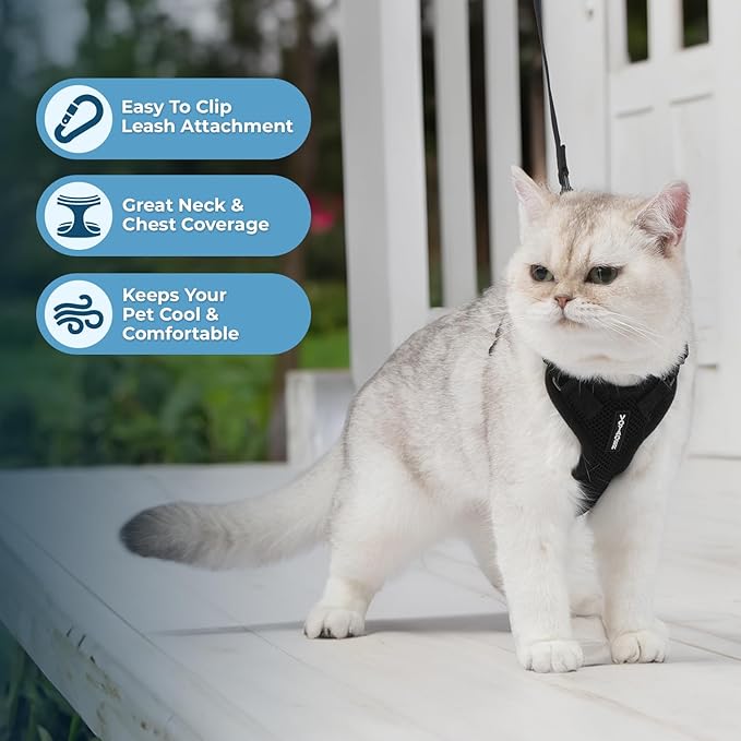 Voyager Step-in Lock Adjustable Cat Harness w. Cat Leash Combo Set with Neoprene Handle 5ft - Supports Small, Medium and Large Breed Cats by Best Pet Supplies - Black, XXS