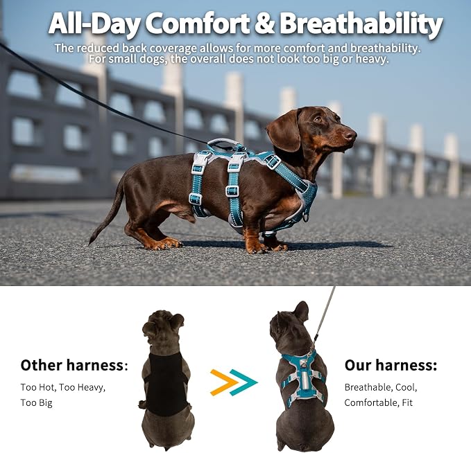 No Escape Dog Harness, Escape Proof Harness, Fully Reflective Harness with Padded Handle, Breathable, Durable, Adjustable Vest for Medium Dogs Walking, Training, and Running Gear (Teal,M)
