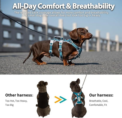 No Escape Dog Harness, Escape Proof Harness, Fully Reflective Harness with Padded Handle, Breathable, Durable, Adjustable Vest for Medium Dogs Walking, Training, and Running Gear (Teal,M)