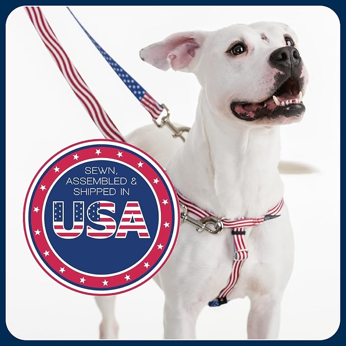 2 Hounds Design Freedom No Pull Dog Harness and Leash, 1" LG, Raspberry | Promotes Easy Walking & Comfortable Control, Secure Fit, Adjustable Harness and Leash Set for Large Sized Dogs, Made in USA