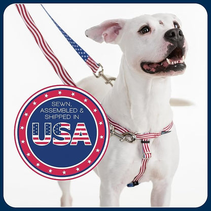 2 Hounds Design Freedom No Pull Dog Harness and Leash, 5/8" MD, Red | Promotes Easy Walking & Comfortable Control, Secure Fit, Adjustable Harness and Leash Set for Medium Sized Dogs, Made in USA