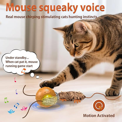 Cat Toys Interactive Self Rolling Cat Balls with Mouse Tails Automatic Moving Fast on Carpet, Rechargeable & Motion Activated