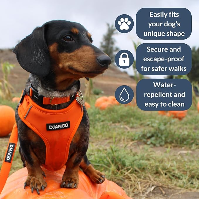 Adventure Dog Harness - Stylish, & Durable Large Dog Harness for Outdoor Adventures and Everyday Wear - Sunset Orange Neoprene Adjustable Harness for Dogs with Reflective Piping & Brass D-Ring
