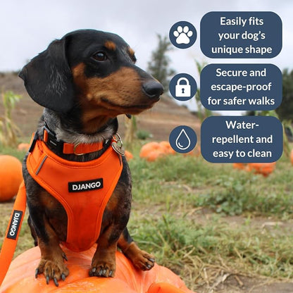Adventure Dog Harness - Stylish, & Durable Large Dog Harness for Outdoor Adventures and Everyday Wear - Sunset Orange Neoprene Adjustable Harness for Dogs with Reflective Piping & Brass D-Ring