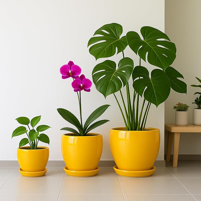 Deep Dream 6 Inch Plant Pots- Ceramic Planter Pot with Drainage Hole and Saucer, Round Flower Pot for Indoor Outdoor Succulent, Snake Plants and Cactus, Yellow