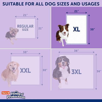 Hartz Home Protection Super Absorbent Odor Eliminating Lavender Scented No Leak Dog Pads, XL 30 Count (Pack of 2)