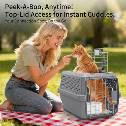 RIZZARI Airline Approved Pet Carrier for Cats & Small Dogs, Travel Crate | Hard-Sided Protection,Secure Locking Door,Excellent Airflow,Comfortable Travel,Lightweight Design