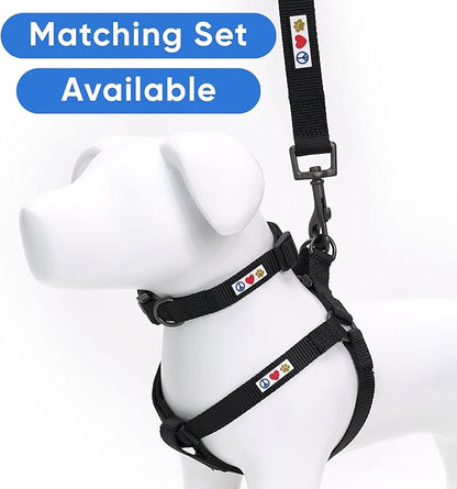 Pawtitas 6 FT Solid Color Leash for Puppy and Dog Leash Dog Training Leash 6 ft or 1.8 m Dog Leash Extra Extra Small Dog Leash can be Used for as a Cat Leash Black Dog Leash