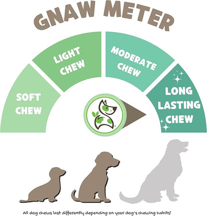 Nature Gnaws Braided Bully Sticks for Dogs 5-6" (10 Count) - Long Lasting for Small and Medium Dogs - Natural Beef Dog Chew Bones - Rawhide Free