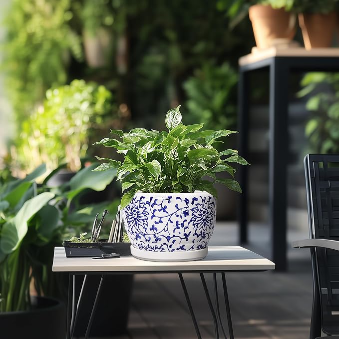 SQOWL Ceramic Pots for Plants - 8 inch Ceramic Planter with Drainage Hole and Saucer, Round Flower Pots for Indoor Plants, Porcelain Planter Outdoor, Porch Decor, Gifts for Women Men, Blue and White